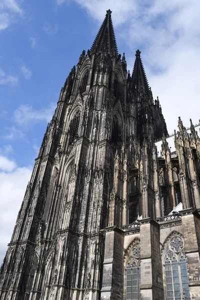 Cologne in Germany — Stock Photo, Image