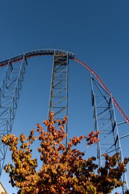 Amerika'da bir Rollercoaster