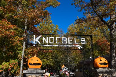 Bir Rollercoaster bir Amerikan Tema Parkı'nda