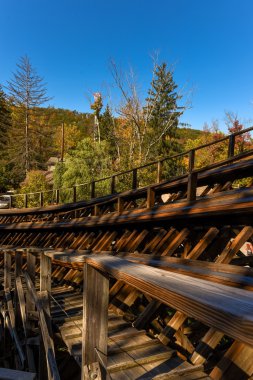 Bir Rollercoaster bir Amerikan Tema Parkı'nda