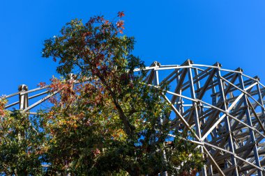 Bir Rollercoaster bir Amerikan Tema Parkı'nda