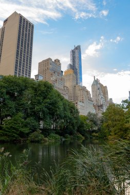 Manhattan'daki güzel central park