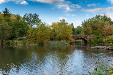 Manhattan'daki güzel central park
