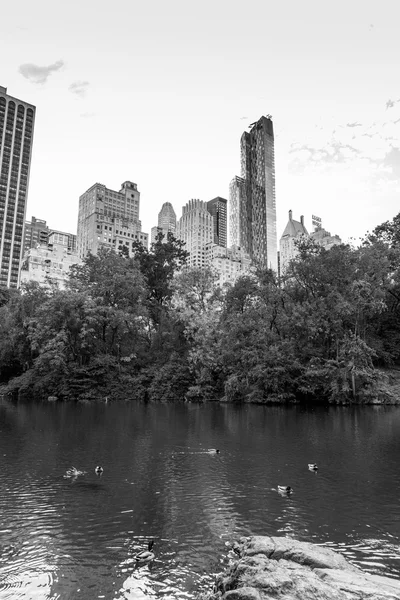 El bonito parque central en Manhattan —  Fotos de Stock