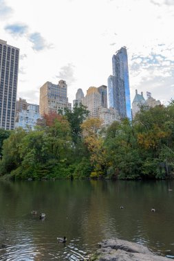 Manhattan'daki güzel central park