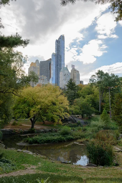 Nice central parku na Manhattanu — Stock fotografie