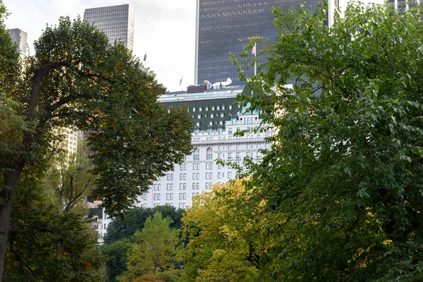 The nice central park in manhattan — Stock Photo, Image