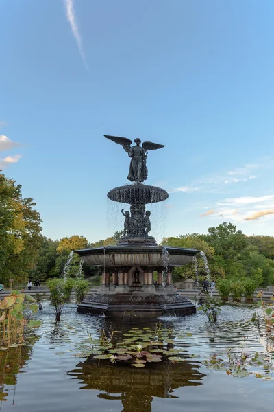 Der schöne zentrale park in manhattan — Stockfoto