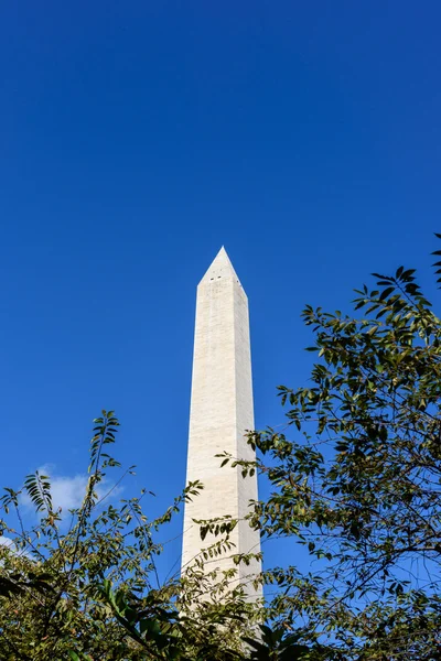 Nemzeti emlékmű, a Washington D C — Stock Fotó