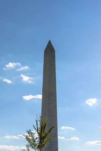 Národní památník ve Washingtonu D C — Stock fotografie