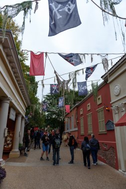 Rollercoaster Amerika Birleşik Devletleri