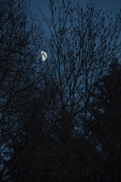 As estrelas e a lua — Fotografia de Stock