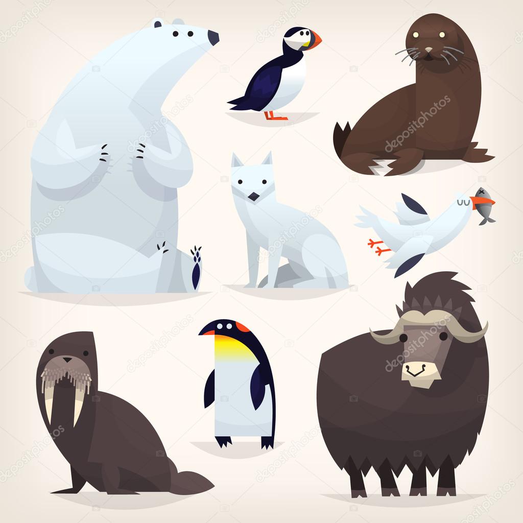 Arctic animals set Stock Vector Image by ©snegok13 113149648
