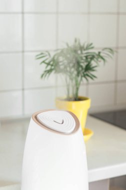 Ev beyazı nemlendirici masanın üzerinde duruyor ve oturma odasında çalışıyor. Arka planda sarı tencerede yeşil bir bitki var. Fotosentez, nem. Sağlıklı yaşam tarzı kavramı, susuzluk..