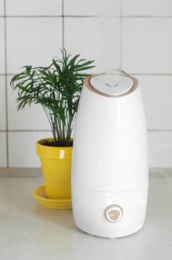 Ev beyazı nemlendirici masada duruyor, oturma odasında çalışıyor. Arka planda sarı tencerede yeşil bir bitki var. Fotosentez, nem. Sağlıklı yaşam tarzı konsepti, hidrasyon. Dikey