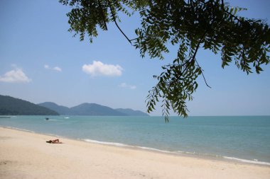 Palmiye ağaçları ve deniz Penang 'ı olan plaj