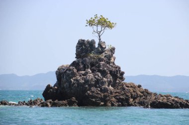 Güzel deniz manzarası