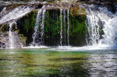 Ormanda güzel bir şelale
