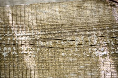 ahşap arka plan duvar