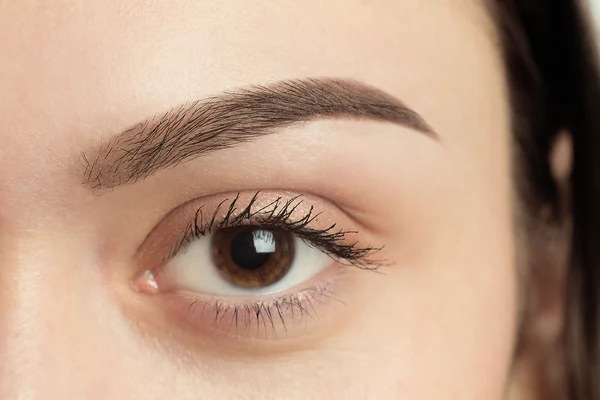 Perfect Eyebrow After Correction