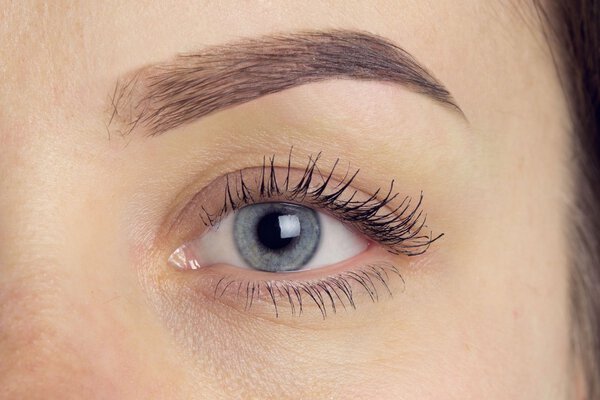 Expressive significant eye perfect shape of eyebrow 