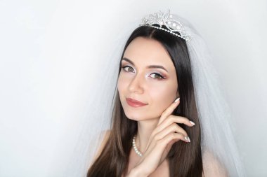 Güzel kadın derisi konsepti. Parlak makyaj gölge pullarını gölgeler. Mükemmel saç stili, uzun düz saç fırçası. arka plan yatay afişi. Büyük bir aksesuar. Nazik el yanağına dokunur.