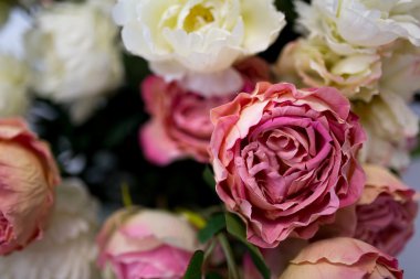 Beyaz ve pembe güller