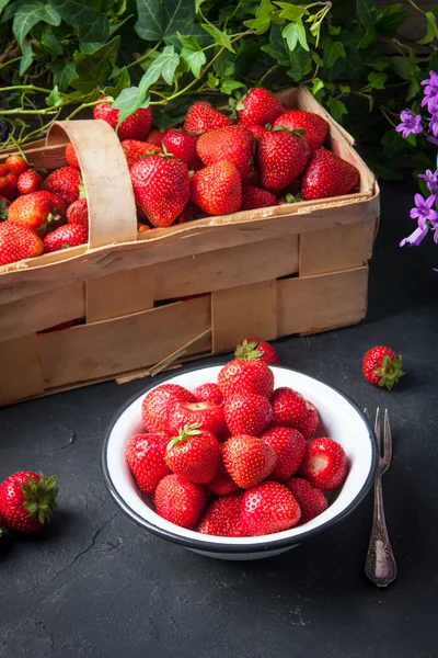 Cuenco de fresas frescas Fotos de stock libres de derechos