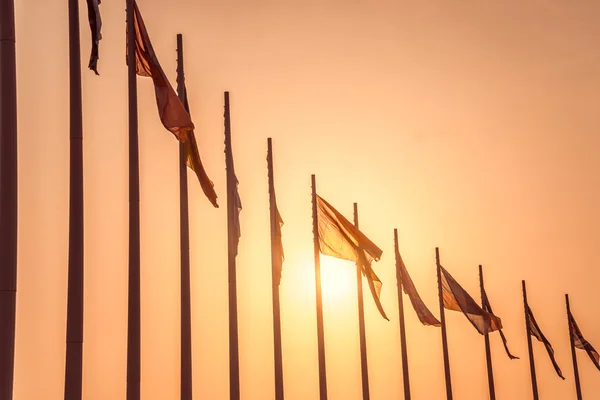 Rangée de drapeaux européens contre le coucher du soleil — Photo