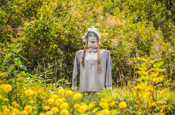 Espantapájaros colorido se viste con ropa en el jardín — Foto de Stock