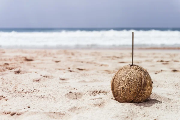 Beber coco fresco en unas vacaciones en la playa —  Fotos de Stock