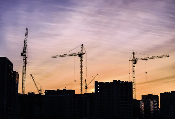 Gru di costruzione sullo sfondo del tramonto — Foto Stock