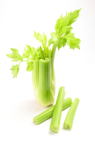 흰색으로 분리 된 싱싱 한 녹색 셀러리 — 스톡 사진