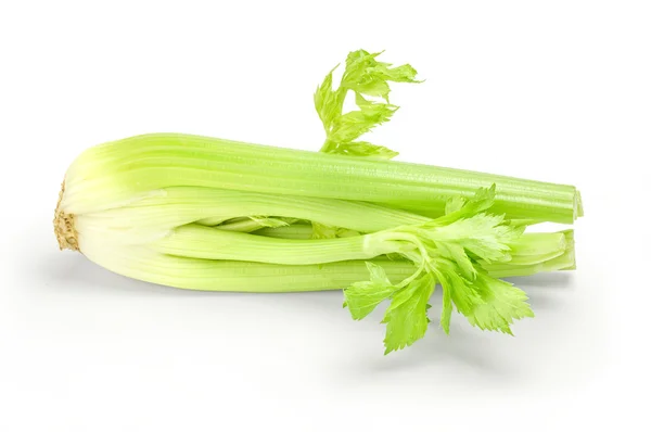 Čerstvý zelený celer izolovaných na bílém pozadí s ořezovou cestou — Stock fotografie