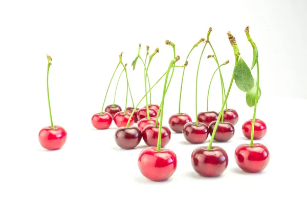 Cereza dulce fresca aislada sobre fondo blanco — Foto de Stock