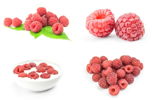 Collage of raspberry on white background — Stock Photo, Image