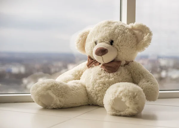 Měkký plyšový medvěd sedí na okenním parapetu — Stock fotografie
