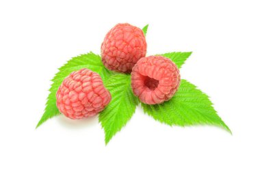 Olgun ahududu yeşil yaprak ile