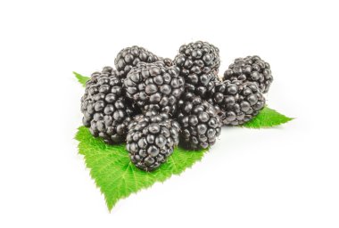 yeşil yaprak üzerinde beyaz izole güzel böğürtlen