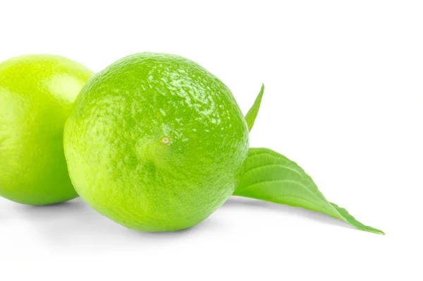 Lime met bladeren op een witte achtergrond — Stockfoto