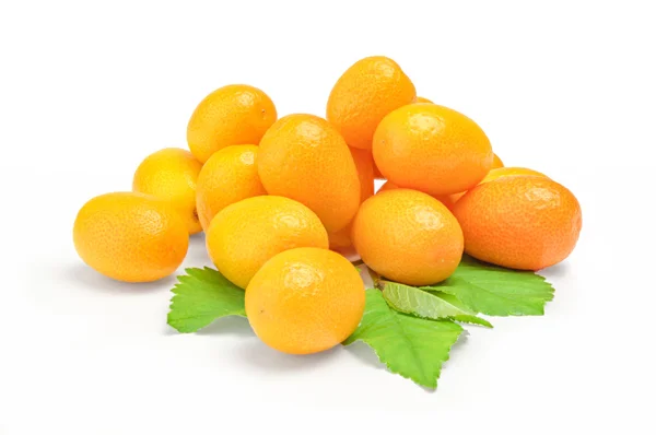 Kumquat mit Blatt auf weißem Hintergrund — Stockfoto