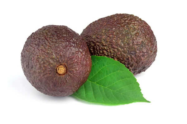 Twee avocado's op witte achtergrond knipsel — Stockfoto