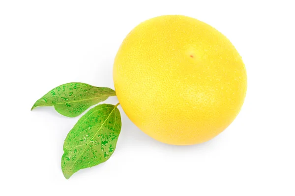 Citrus switty com folhas verdes sobre fundo branco — Fotografia de Stock