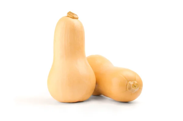 Butternut zucche isolato su sfondo bianco — Foto Stock