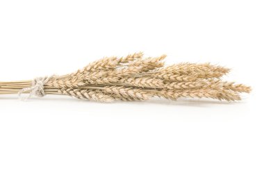 Beyaz arka plan üzerinde buğday