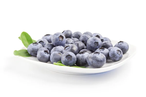 Close-up af friske blåbær i hvid skål på baggrund - Stock-foto