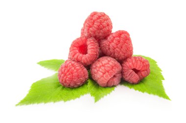 beyaz zemin üzerine yeşil yaprak olgun ahududu