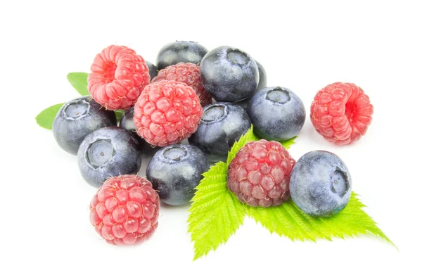 Fresh colorful raspberry and blueberry on white — Stock Photo, Image