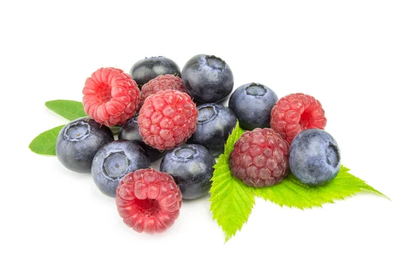Blueberry and raspberries on white background — Stock Photo, Image