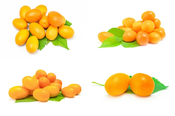 Groep kumquats over een witte achtergrond — Stockfoto